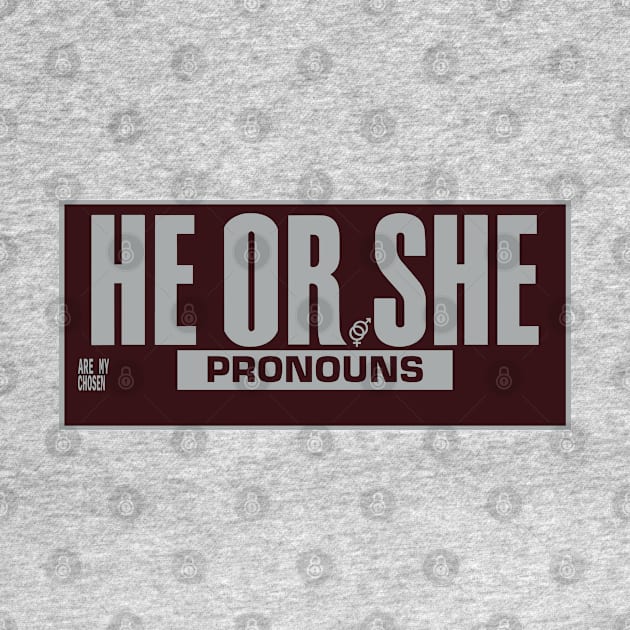 He or She Pronouns, Yum! by Michaela Vuolo Nieves